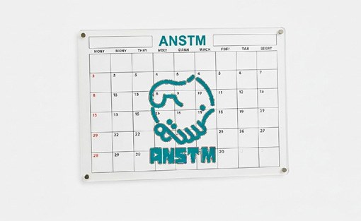 Branded ANSTM printed promotional calendar from the company profile