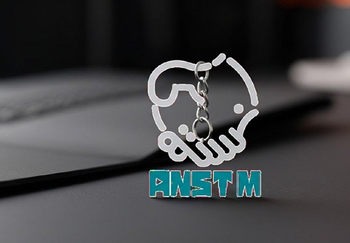 Fabricated ANSTM brand logo shown in the company profile